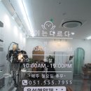 부산 온천천 머리카락 잘하는~ 소이는다르다 방문후기