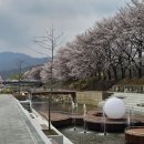 청계산로B Daum카페