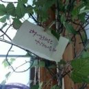 다온게스트하우스 이미지