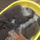 메르디안세탁 이미지