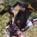 캠핑 뜨락 오토캠핑장 이미지