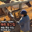 제이목장 | 제주 아기랑 갈만한 곳, 재방문 하게 되는 먹이주기 체험 목장 카페 밭디