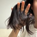 엔젤미용실 - 홍천군 희망로4길 1 | [생활] 손상모용 미용실샴푸 <보타미안엔젤 단백질샴푸> 사용 후기
