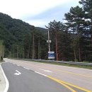 내린천 자연세상 이미지