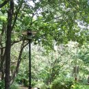 지성유치원 이미지