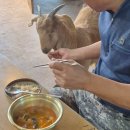 유봉농장 이미지