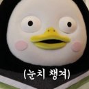 싱싱오징어바다의정부 이미지