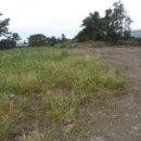 남원읍-13 이미지