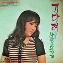 사랑은 무지개 / 조현 (1972) 이미지