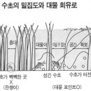 붕어대물낚시 10단계 전략 이미지