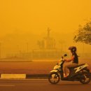 "인류에 대한 범죄“ - 인도네시아 정부가 대규모 대피를 계획하는 가운데 산불 연기로 50만 명이 메스꺼워 하고 있다 이미지
