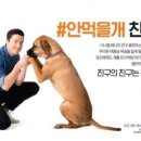 다니엘애견 Daum카페