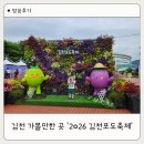 [초등학생 여름방학 특강]나만의 달콤한 쿠키 만들기 2기(1~4학년) | 2026 김천포도축제 후기｜아이와 가볼만한 김천 축제, 포도체험부터 물놀이까지