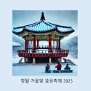 영월보쌈 | 영월 겨울빛 불꽃축제 2025 정보 및 후기