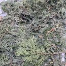 자연드림 세탁소 이미지