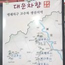 목동중앙서로 Daum카페