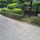 9월 11일 단지 내 예초 작업 이미지