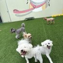 칠곡유치원 이미지