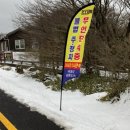 1100 이미지