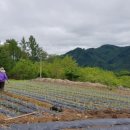 안흥종묘사 이미지