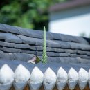 금소생태공원2 이미지