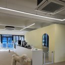 강아지트 이미지