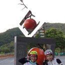 성현주유소 이미지