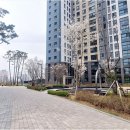 시립영통자이어린이집 네이버블로그