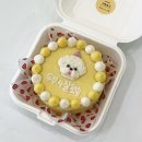 디어도그 | 부평 굴포천역 디어도그ㅣ강아지 생일 케이크 주문 후기