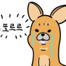 늘도민박(펜션) 이미지