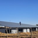 RPS태양광발전소 이미지