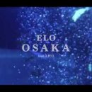 엘로(ELO)