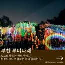 한양나래 어린이공원 | 빛으로 물든 밤의 무릉도원 부천 루미나래 예약방법 입장료 관람후기