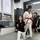 TL태권도 이미지