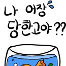 어장관리하는남자 이미지