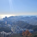 신사제 Daum카페
