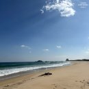 일층세탁 | 고성 감성 숙소 오션뷰 카라반 내돈내산 솔직후기 : 역대급 청결