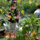 선우어린이집 이미지