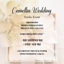 아이리스까멜리아