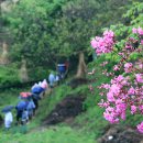 황부자 며느리 친정가는 둘레길 이미지