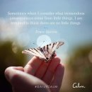 데일리캄(dailycalm)