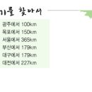 제13회 광양매화문화축제 이미지