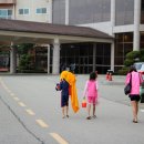 삼포농장 이미지