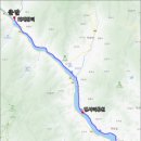 하동 섬진강변길 이미지