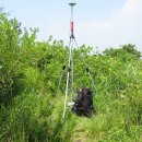 솔잎한우축사 이미지