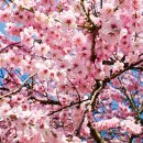 베스트루이스해밀턴호텔창원 이미지