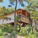 재일펜션 민박 이미지