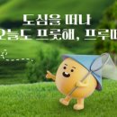 청은농장 이미지