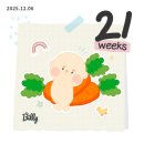 11620-2-23-21 | 임신 기록 일상 기록하기 21-23