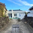 신창 그리고 제주 이미지